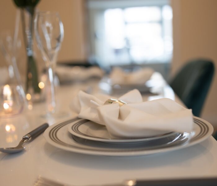 Napkin Plate image (Copy)